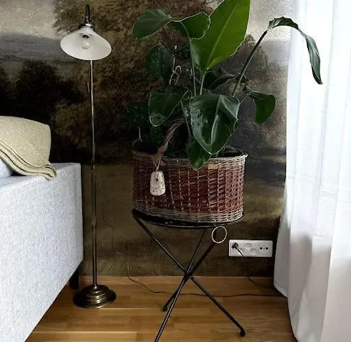 شقة Nygatan مارييهامن